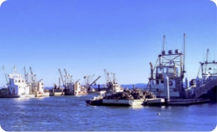 Homepage Image Port of Peninsula