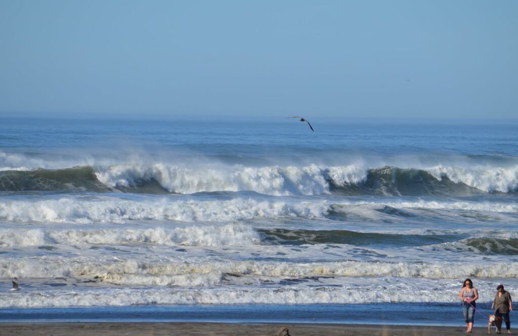 An image of the Pacific Ocean waves rolling in under a blue sky on the Ocean Park Shoreline.