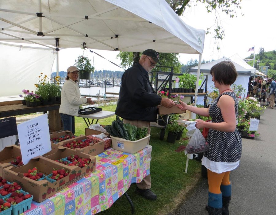 An image of a young woman at the market, buying fresh cherries from a local grower.