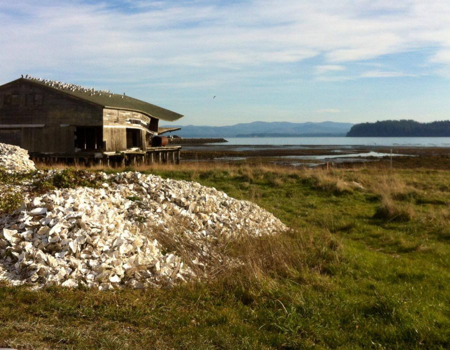 An image of a seaside cabin with a view of the blue mountains in the distance, beyond the water.