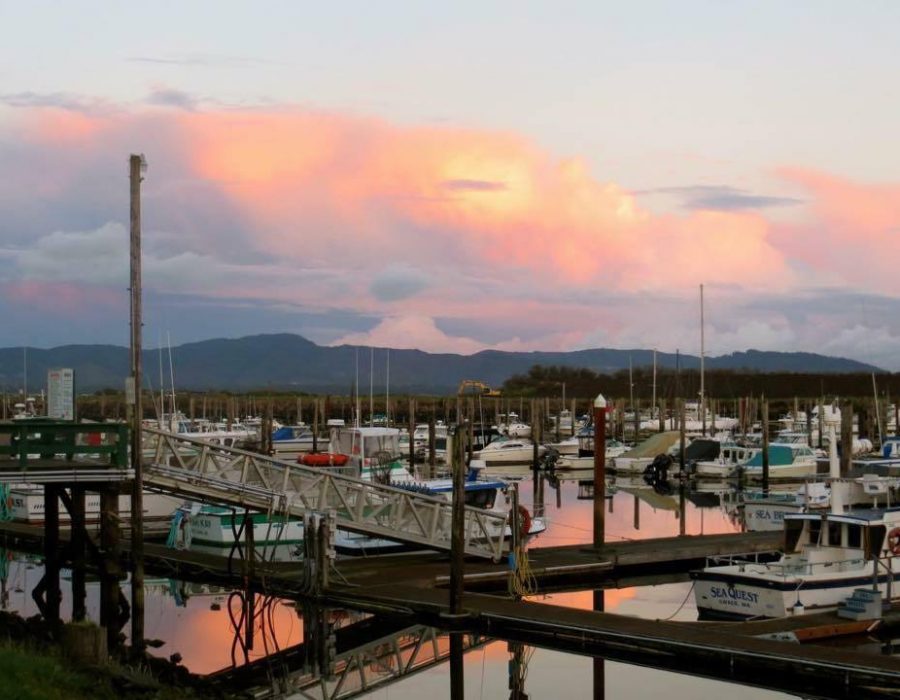 An image of the Ilwaco harbor in a pastel sunset.