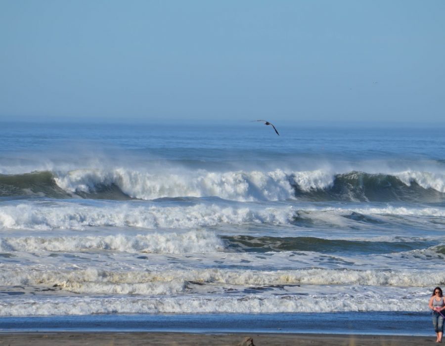 An image of the Pacific Ocean waves rolling in under a blue sky on the Ocean Park Shoreline.