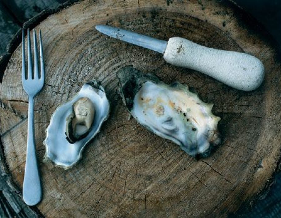 An image of freshly shucked oysters presented on a rustic slab for tasty, tasty consumption.