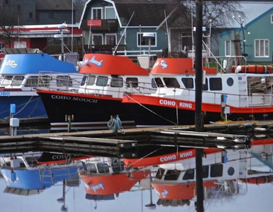 Image of bright, multicolored speedboats docked in the harbor.