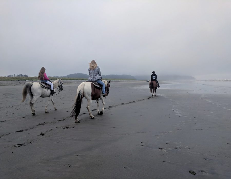 An image of people riding horses along the beach.