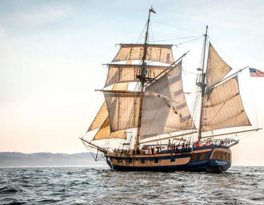 An Image of a historically accurate ship from the past sailing in the water.