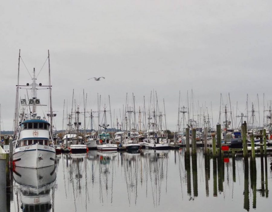 An image of ships in the Ilwaco harbor with the water so smooth, it acts as glass - reflecting the scene perfectly.
