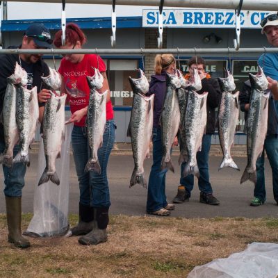 An image of Ilwaco locals selecting fresh-caught salmon from a line.