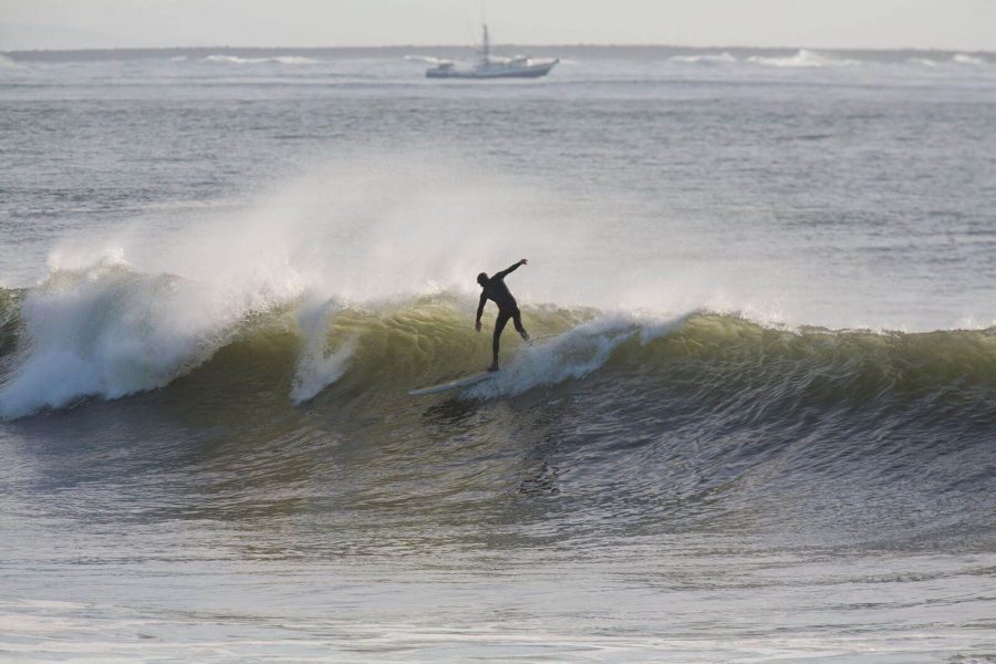 An image of a lone surfer riding the crest of a wave in Seaview Washington.