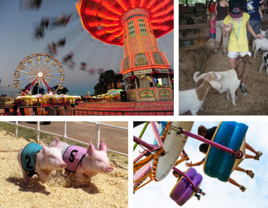 A collage of images showcases the Menlo County Fair.