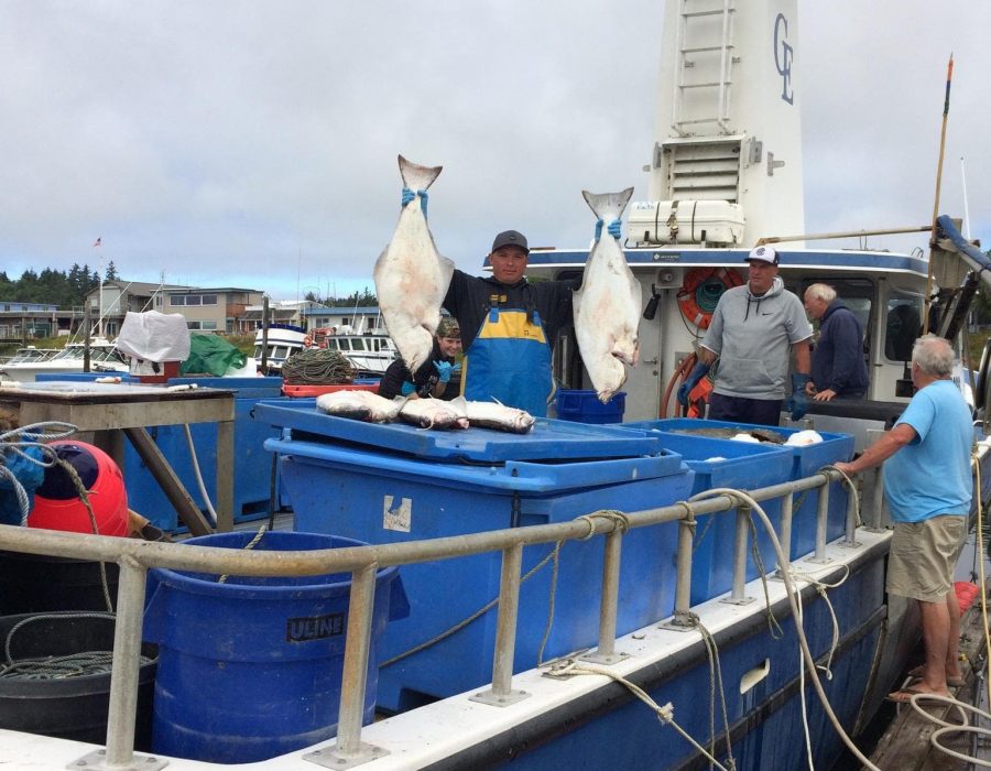 An image taken from the back of a large fishing boat where one worker holds up two impressively sized halibut, one in each hand, with pride.