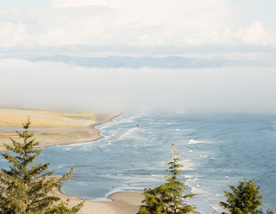 Shoalwater Bay