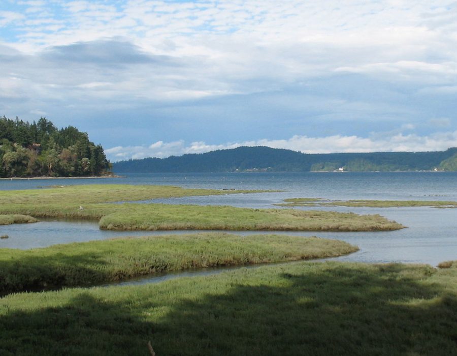 Shoalwater Bay