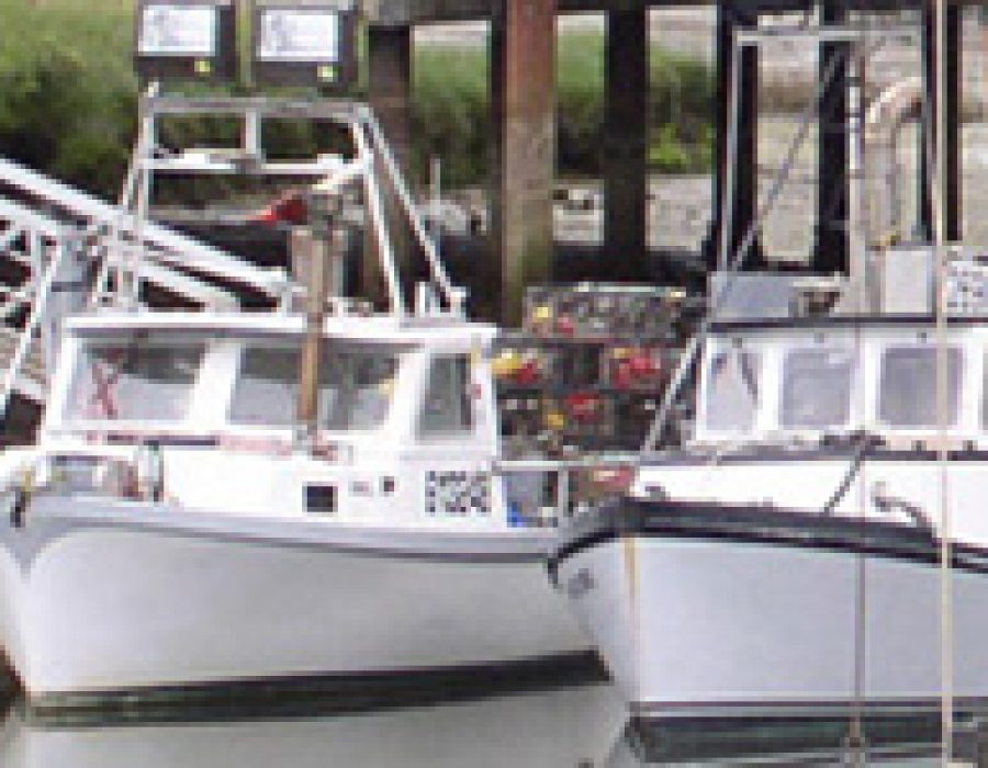 An image of two pristine white oyster boats sitting serenely in the Raymond harbor.
