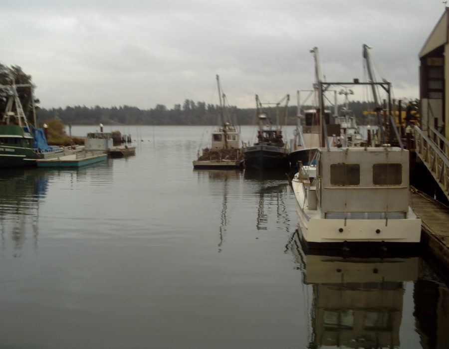 An image of oyster boats moored at the Bay Center docks.