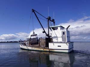 An image of an oyster boat out on the sea during a calm, bright day.