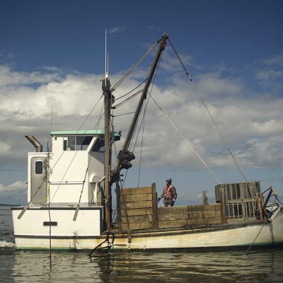 Seafood Oyster ship with man