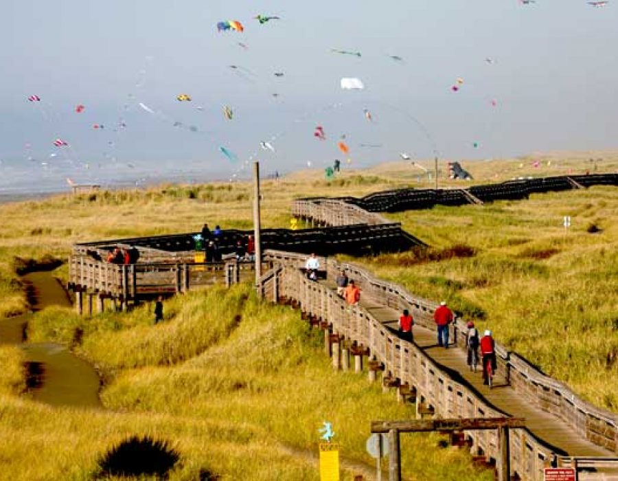 An image of a lengthy boardwalk stretching down towards the water surrounded by sand-grass on both sides.