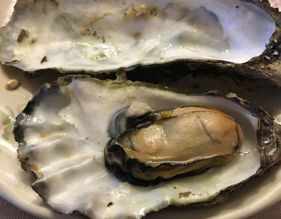 An image of a freshly shucked oyster, its meat artfully presented in its shell.