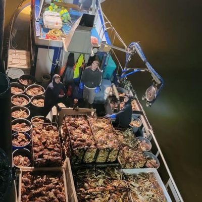 fish people