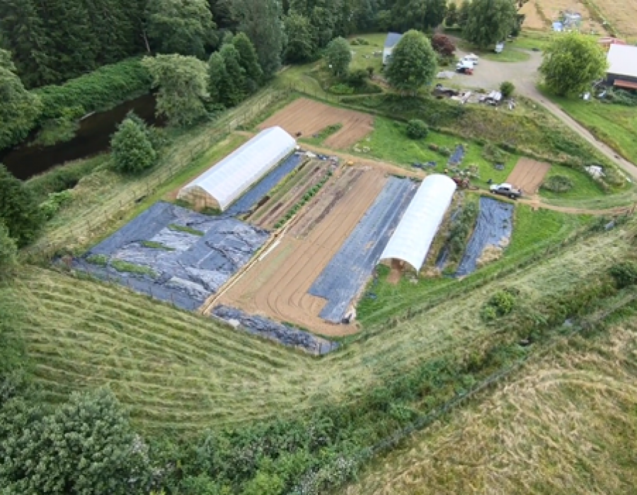 An aerial view image of Fred's Farm which showcases several barns and acres of well-organized rows of crops in the summer.