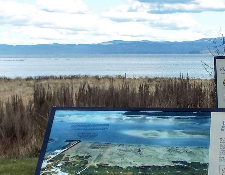 An image of a tourist observation point with a plaque in front that reads, "Remember, there's the face of a family behind every farmed oyster." overlooking the inlet with blue mountains in the background.
