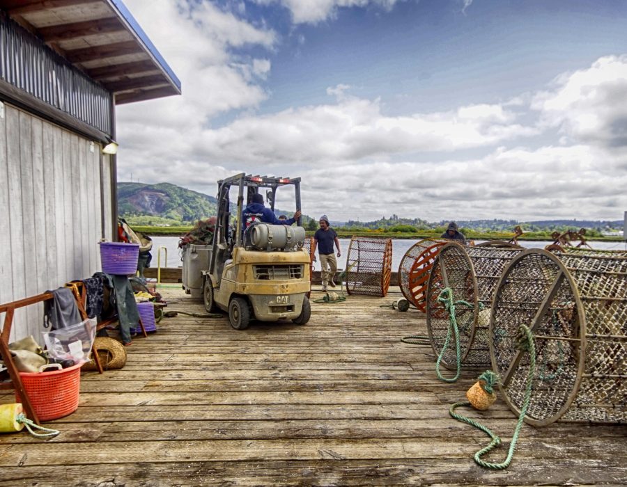 An image of a worker at the Oyster Docks in Raymond, WA