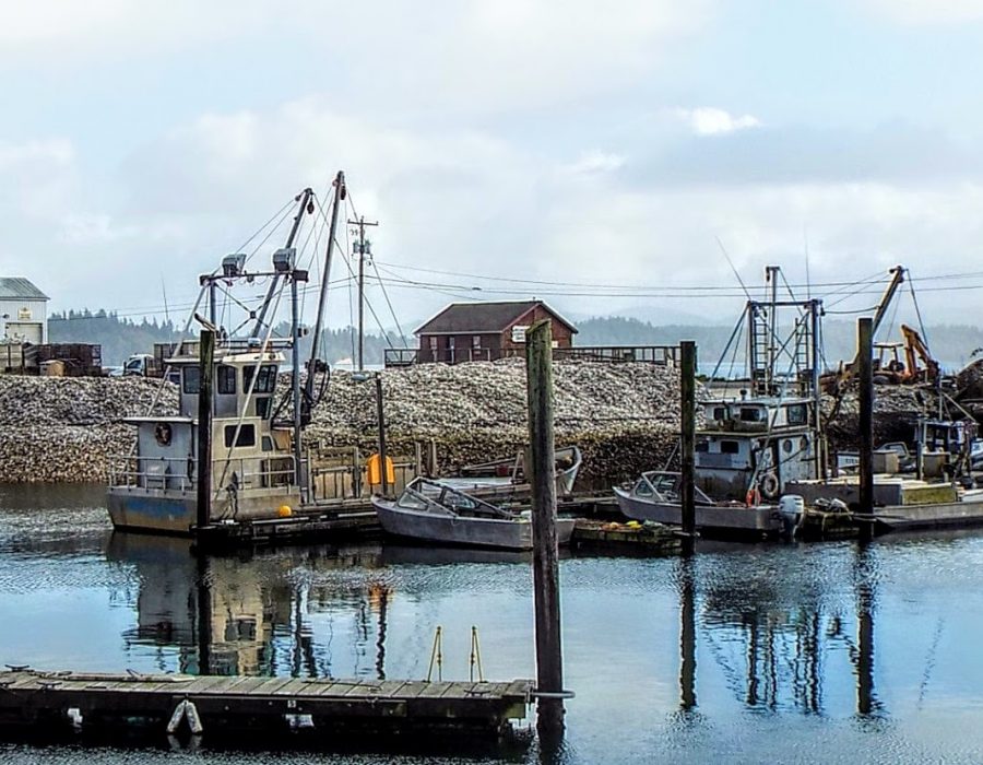 An image of a variety of ships in the Nahcotta port.