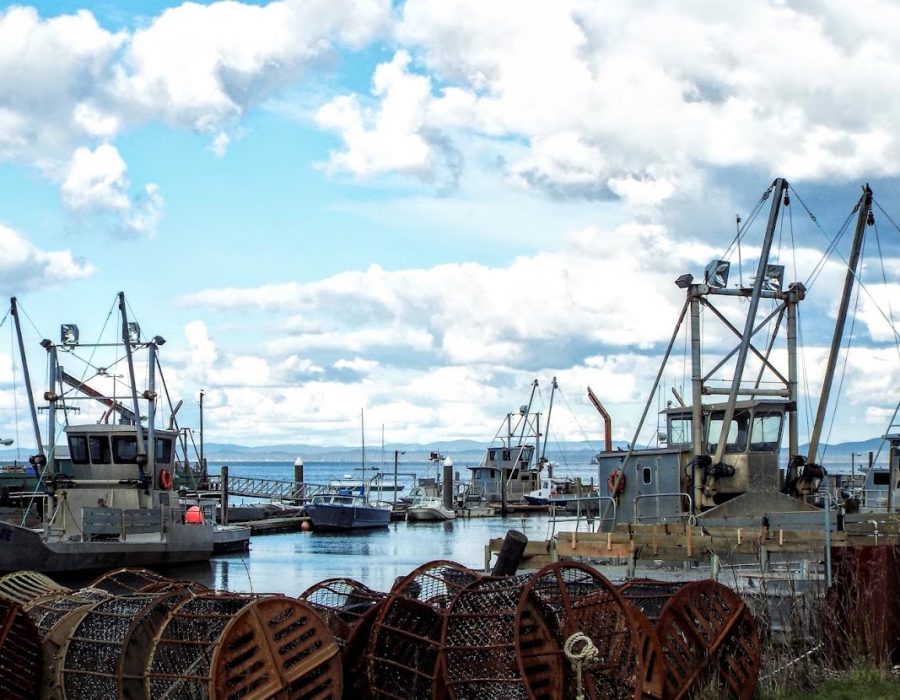 An image of large, commercial fishing vessels currently docked at the Nahcotta port.