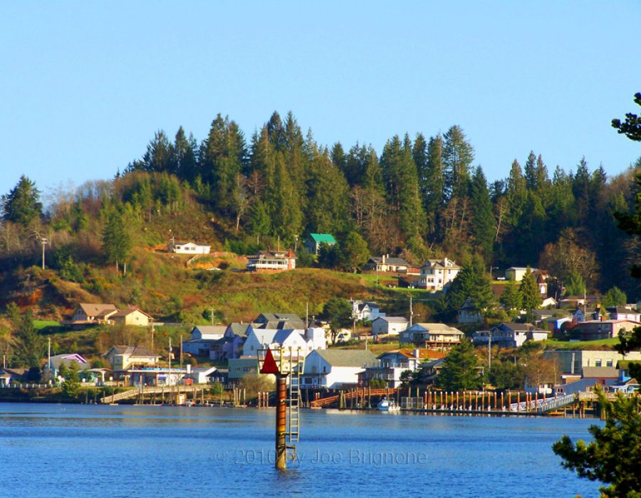An image of South Bend Houses along the riverbank on a bright, clear day.